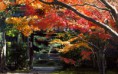 /album/galeria1/kyotanabe-kyoto-japan-wallpaper-wide-1-jpg/